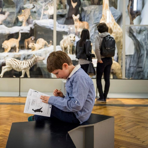 Musée d'Histoire Naturelle de Lille