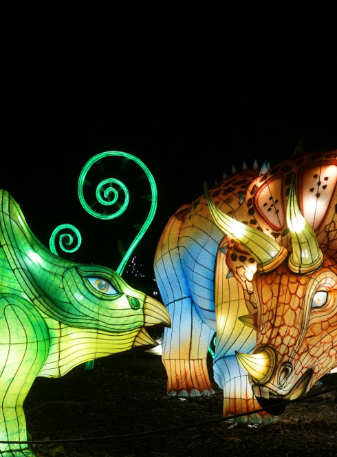 Les animaux de lumière