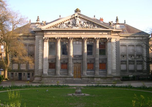 Muséum d'Histoire Naturelle de Nantes