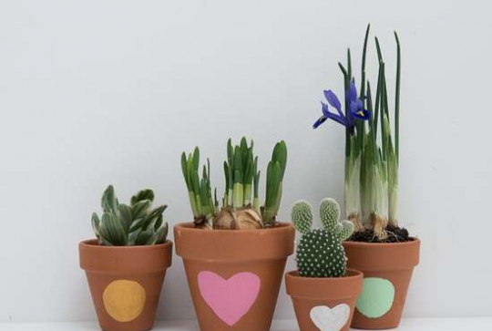 Un pot de fleurs à customiser avec les enfants