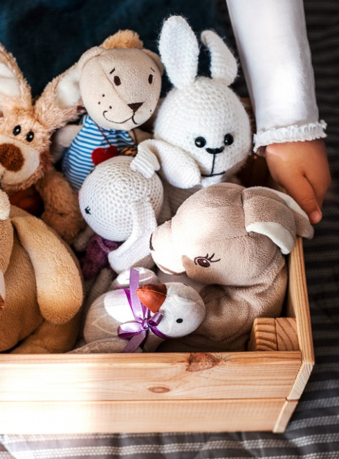 Les collectes de jouets à Lyon et aux alentours : Une caisse remplie de doudous