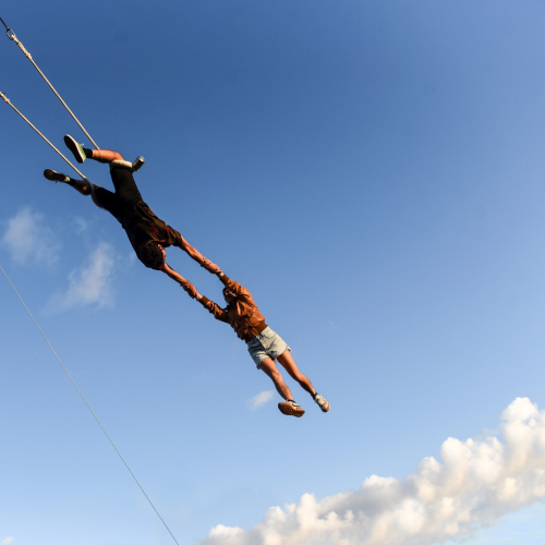 We agree to disagree