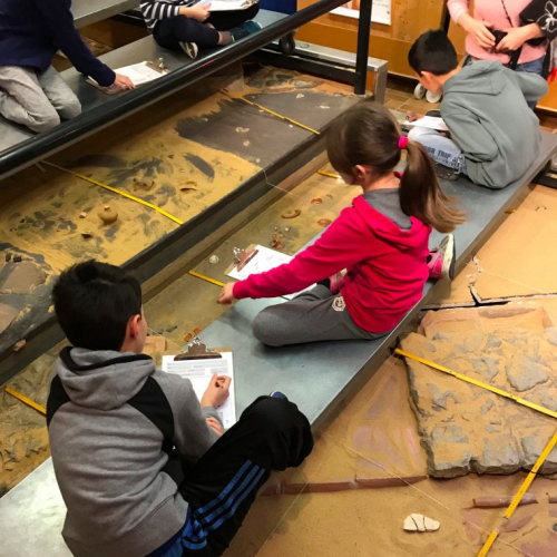 Atelier archéologie CAP Sciences