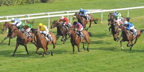 hippodrome_bouscat_1