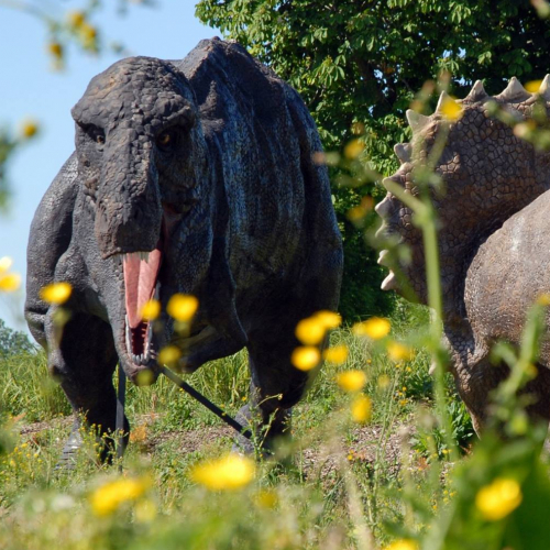 Paléopolis - Fossilis par Walter Jouffrey