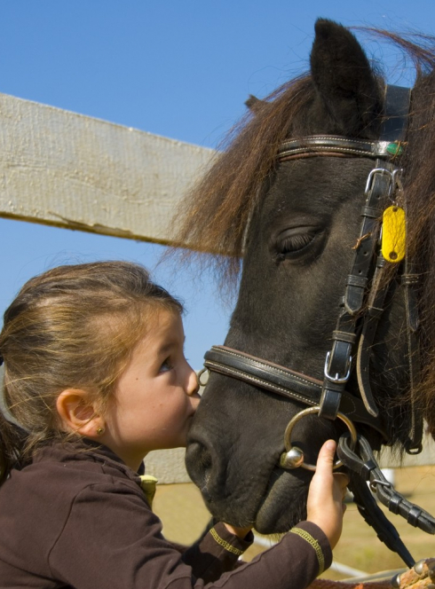 Equitation Poney Club Les Douemes
