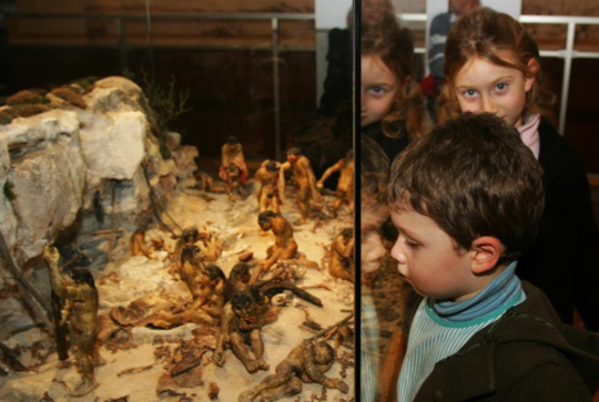 Musée de Préhistoire Terra Amata