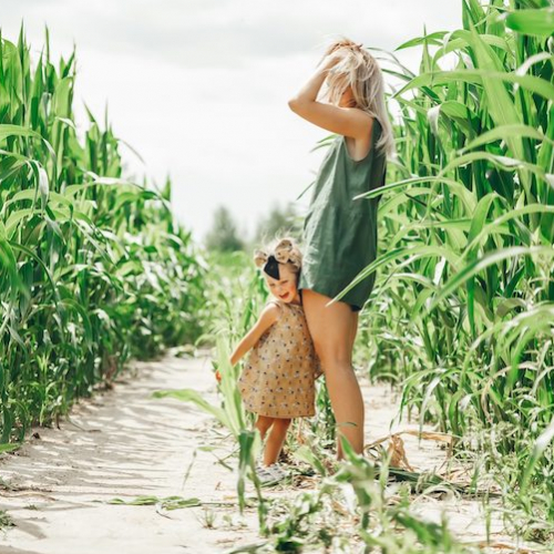 Pop Corn Labyrinthe Bordeaux/Cestas