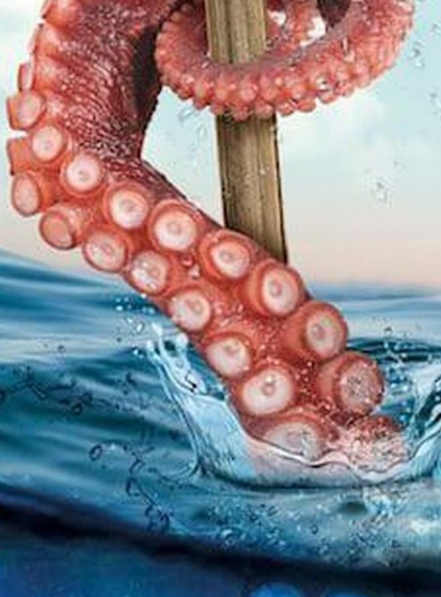 Le monde du silence gueule