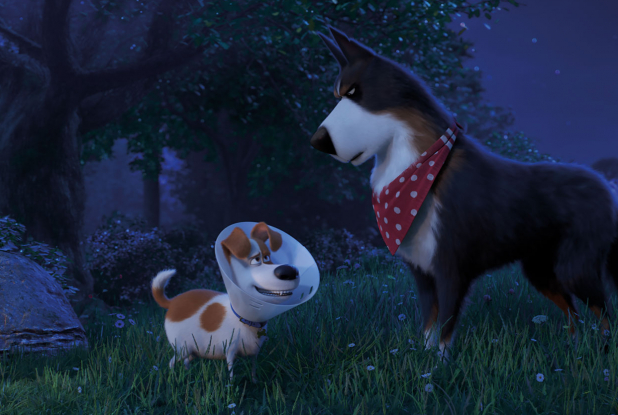 Comme des Bêtes 2 - Max la nuit