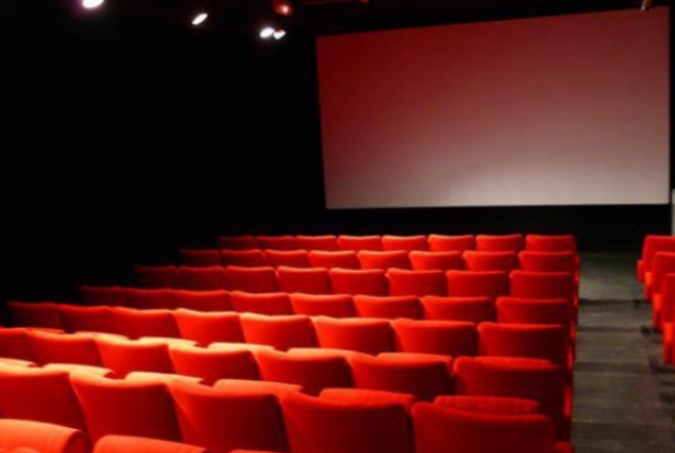 Institut Lumière : salle de cinéma pour les petits et les grands