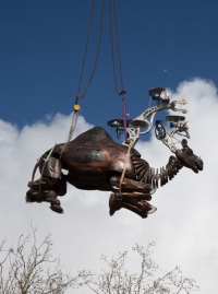 Le réveil des Animaux de la place