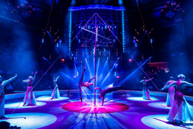 Extra - Cirque d'Hiver Bouglione : Bénédicte Petit et Simon Joubert