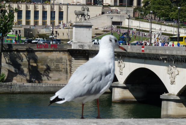 Quai de la Seine