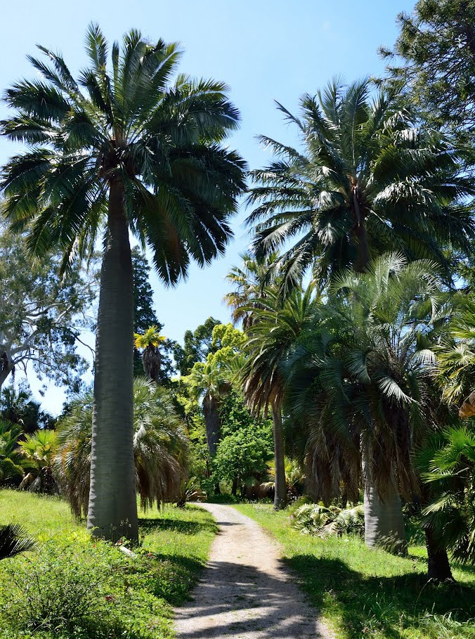 Jardin Villa Thuret : jardin botanique à découvrir en famille à Antibes ...