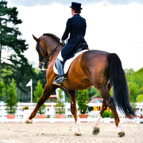 Couverture Jumping 2023