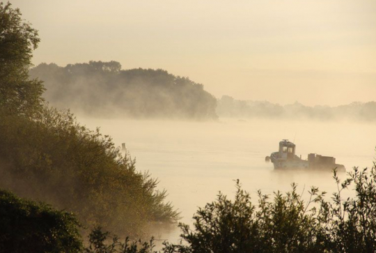Île Clémentine : balade nature près de Nantes