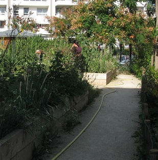 fete de la nature lapin ouvrier