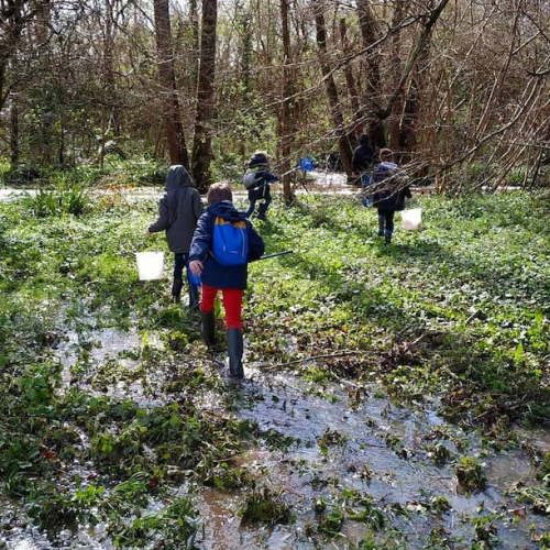 Terre & Océan : balade avec les enfants