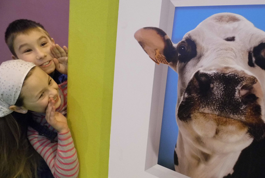 salon agriculture 2013