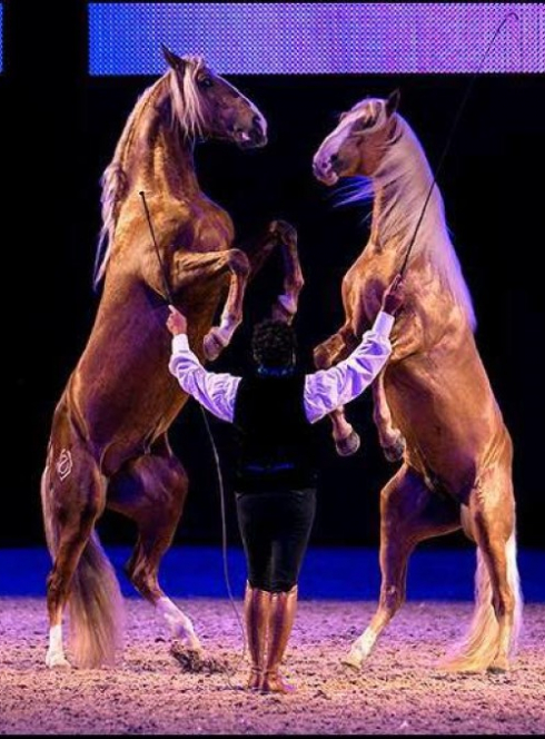 Fête du cheval de Levens 2021