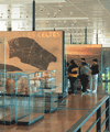 Musée de la civilisation celtique - Bibracte