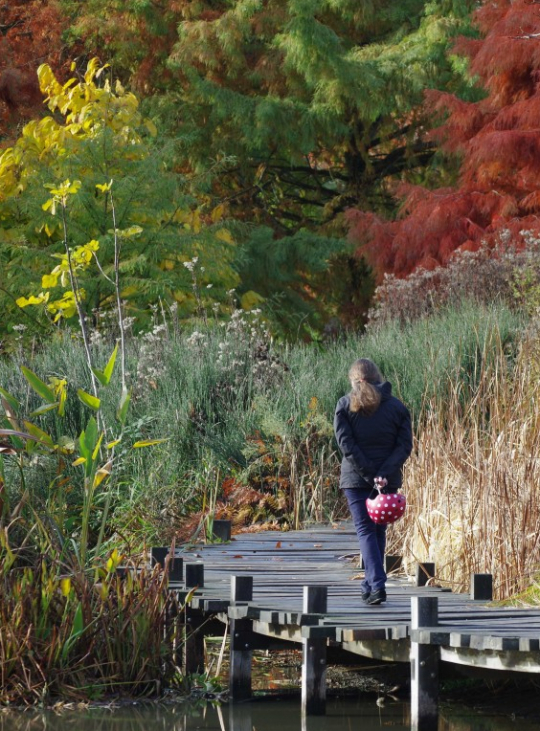 Parc du grand Blottereau à Nantes balades en famille Citizenkid
