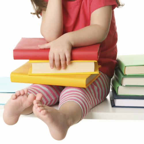 français - livres - bouquins