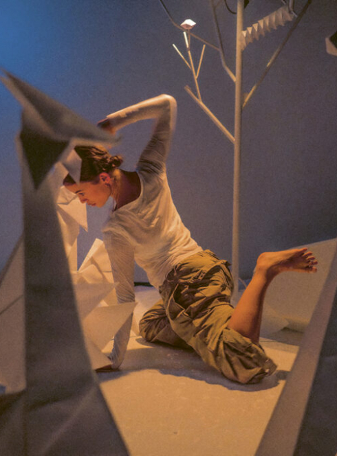 Imagori – Cie Chriki’z