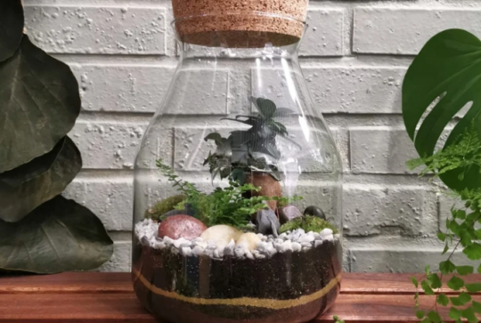Bricolage fête des grands-mères : terrarium