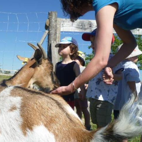 ZouZou Parc : animaux