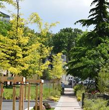 Square Jean de Torcy