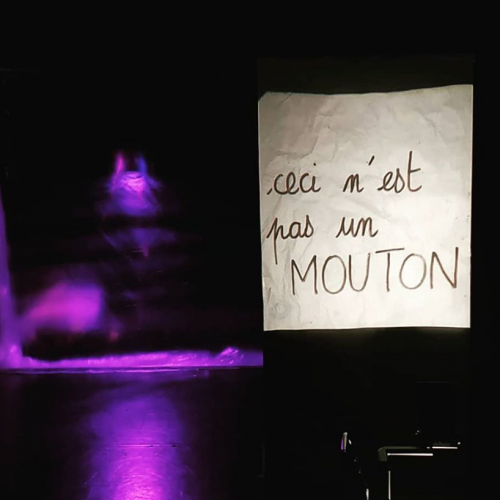 Comme un mouton - Cie Lili Label