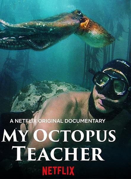 La sagesse de la pieuvre : Un plongeur et un poulpe