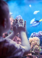 Enfant à l'Aquarium de Lyon
