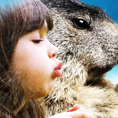 Parc Animalier des Pyrénées