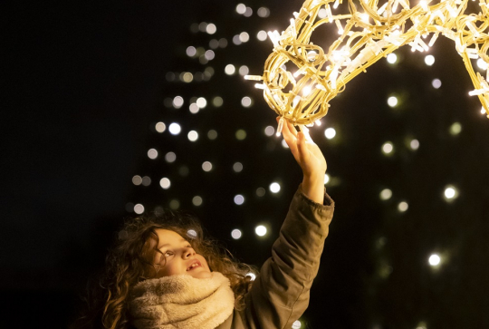 Lumières en Seine : cheval