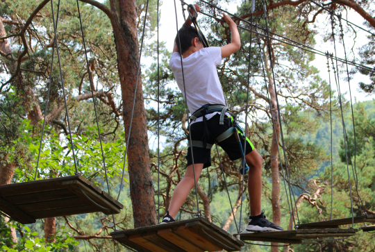 Saint-Nectaire Aventures : accrobranche près de Clermont