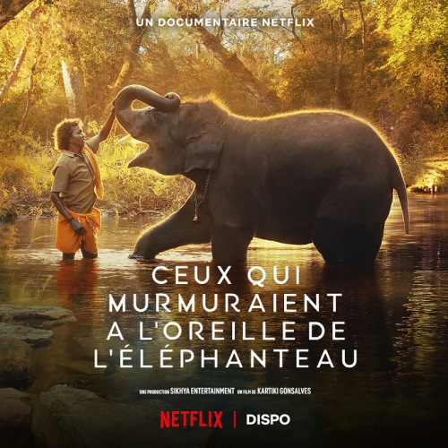 Ceux qui murmuraient à l’oreille de l’éléphanteau : Un homme avec un éléphant dans l'eau