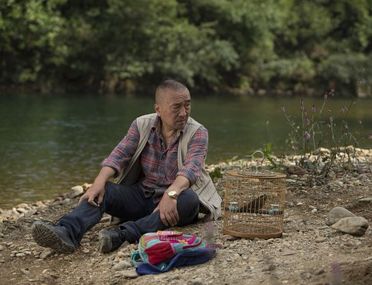 Le Promeneur d'oiseau