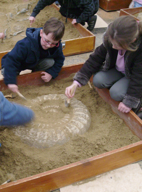 43e Salon Minéraux Fossiles Météorites Cristal et Bien-être