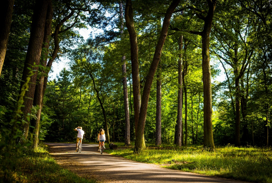 Balade vélo en famille au Bois de Boulogne à Paris