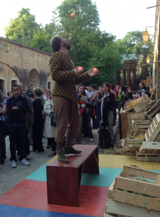 Biennale du Fort de Bron - Don Quijote (4)