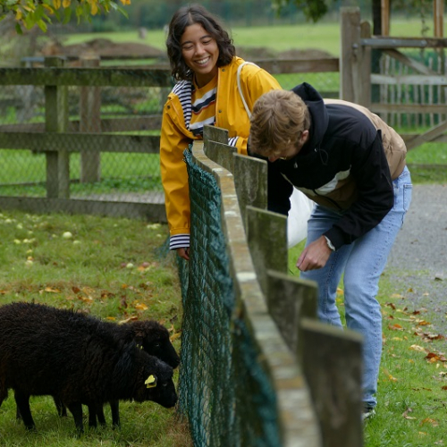 Ecomusée de la Bintinais