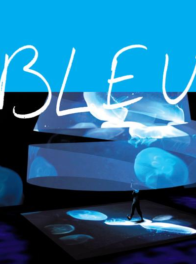 Bleu ! - Compagnie TPO