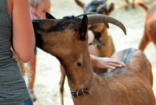 Terre de Soleil : Rencontre
