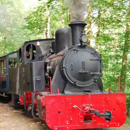 Train Forestier d'Abreschviller : locomotive