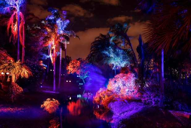 L'Art dans la Nature : végétation