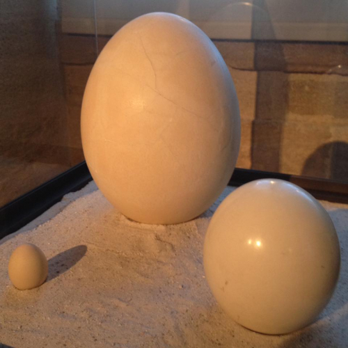 Pâques 2019 au Musée des Douanes