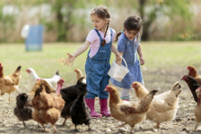 Visiter une ferme avec les enfants !